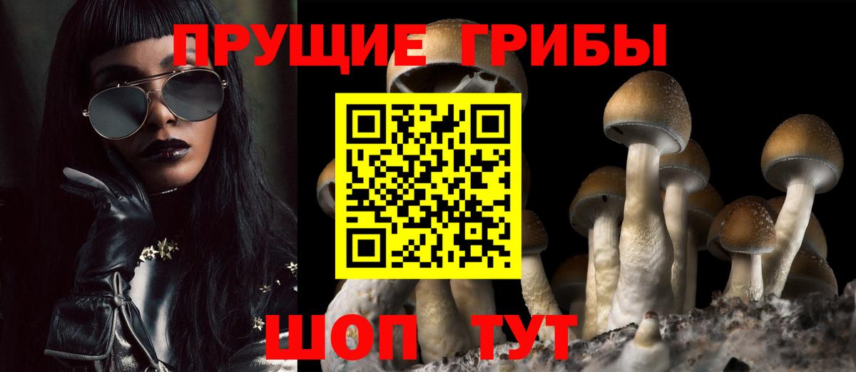 Нальчик  Галлюциногенные грибы Psilocybe  Вход с VPN  Галлюциногенные грибы GOLDEN TEACHER 